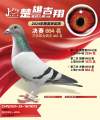 图片暂时未上传
