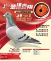 图片暂时未上传