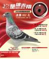 图片暂时未上传
