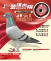 图片暂时未上传