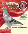 图片暂时未上传