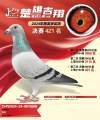 图片暂时未上传