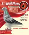 图片暂时未上传