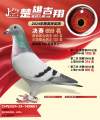 图片暂时未上传