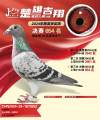 图片暂时未上传