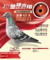 图片暂时未上传