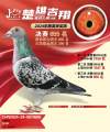 图片暂时未上传