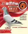 图片暂时未上传