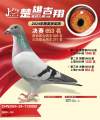 图片暂时未上传