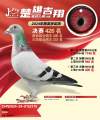 图片暂时未上传
