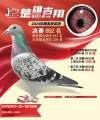 图片暂时未上传