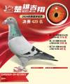 图片暂时未上传