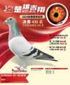 图片暂时未上传