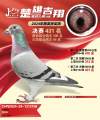 图片暂时未上传