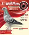 图片暂时未上传