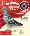 图片暂时未上传