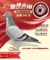 图片暂时未上传