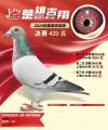 图片暂时未上传