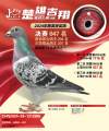 图片暂时未上传