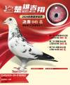 图片暂时未上传