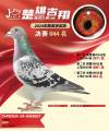 图片暂时未上传