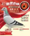 图片暂时未上传