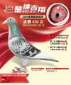 图片暂时未上传