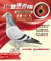 图片暂时未上传