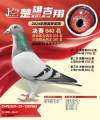 图片暂时未上传