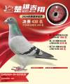 图片暂时未上传