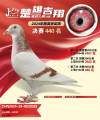 图片暂时未上传