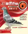 图片暂时未上传