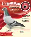 图片暂时未上传