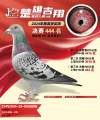 图片暂时未上传