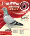 图片暂时未上传