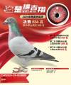 图片暂时未上传