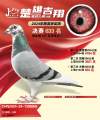 图片暂时未上传