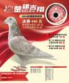 图片暂时未上传