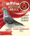 图片暂时未上传
