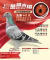 图片暂时未上传
