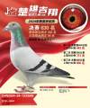 图片暂时未上传
