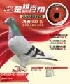 图片暂时未上传