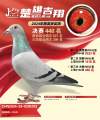 图片暂时未上传