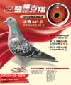 图片暂时未上传