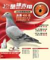 图片暂时未上传