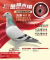 图片暂时未上传