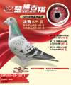 图片暂时未上传