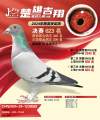 图片暂时未上传