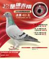 图片暂时未上传