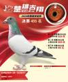 图片暂时未上传